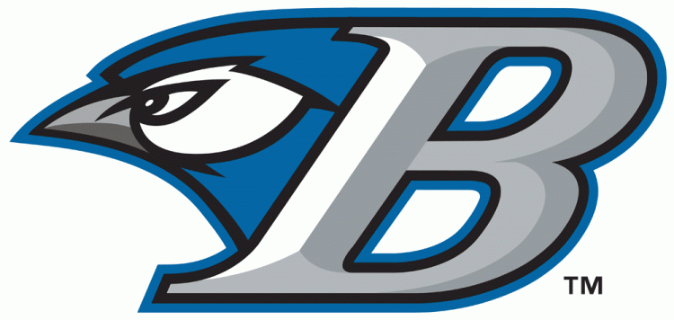 Bluefield Blue Jays 2011 Primary Logo iron on transfers for clothing